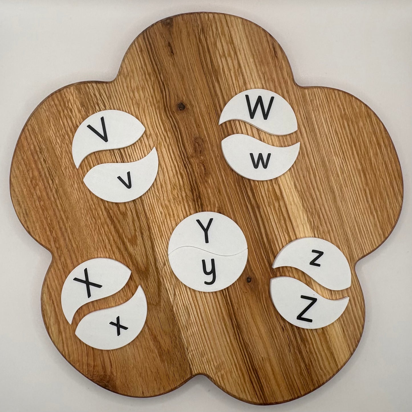 Upper and Lowercase Letters Matching Activity