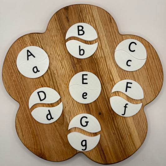 Upper and Lowercase Letters Matching Activity